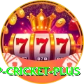 2022 world cup cricket Casino Official v5.9.5