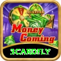 3cardfly Plus Edition v3.9.5