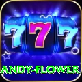 andy flower Pro Max v4.4.0