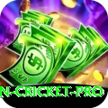 australian cricket - Gold v2.8.1