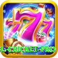 bbl cricket PK Gold