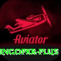 bingopkr Max Pro v1.5.3