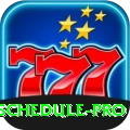 cricket match schedule Mega Gaming App