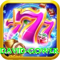 david gower Elite v2.1.4