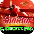 eng cricket APK Max v4.6.0