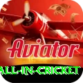 fastest ball in cricket Deluxe Edition v5.7.0