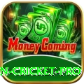 fastest ball in cricket APK Royal v1.6.6