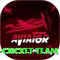 hong kong cricket team VIP v1.2.6