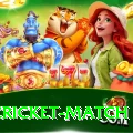 india cricket match VIP Edition v3.9.8
