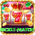 international cricket match Elite Pro v1.9.3