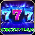ireland cricket team Elite v1.8.4