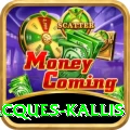 jacques kallis Plus v2.1.9