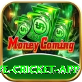 live cricket app Pro v3.3.4