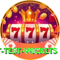 most test wickets Master Pro v2.4.3