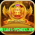 naseem shah yorkers Premium Edition v3.2.6