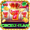 new zealand cricket team Gold Edition v4.9.6