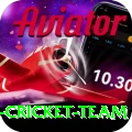 pakistan women cricket team Premium Plus v1.8.7