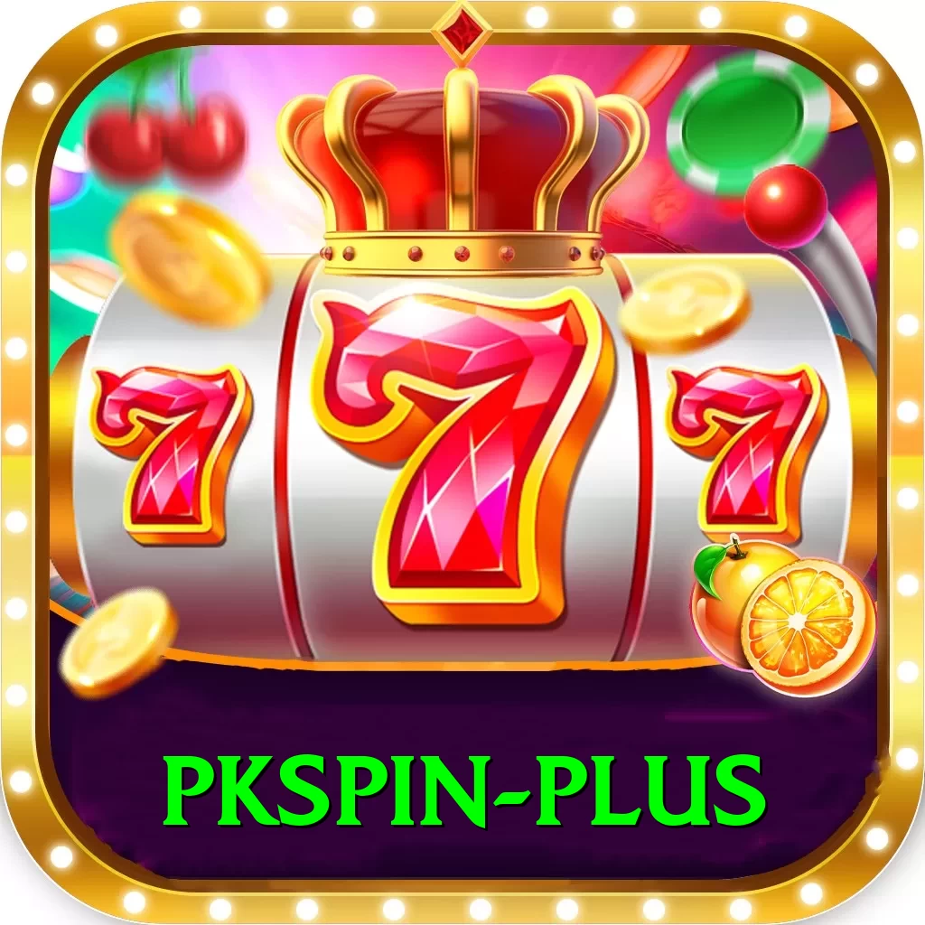 pkspin Deluxe Pro v5.9.4 - 2