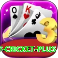 play cricket Mobile King