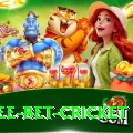 risk free bet cricket Apps (Tools & Injectors) VIP v3.6.3