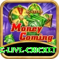 smartcric live cricket Deluxe Pro v1.6.9