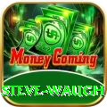 steve waugh Gold Edition v4.7.0