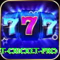 test cricket Mega - Casino & Slots