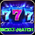 to day cricket match Premium Plus v2.8.0