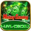 watch live cricket Pro Edition v5.8.1