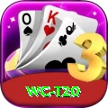 wc t20 Pro Max v4.9.7