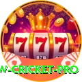 willow cricket Slot Machine Turbo