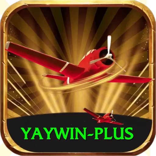 yaywin VIP Pro v2.5.0 - 2